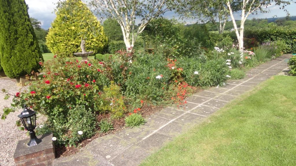 Westwood Country House Blarney Luaran gambar
