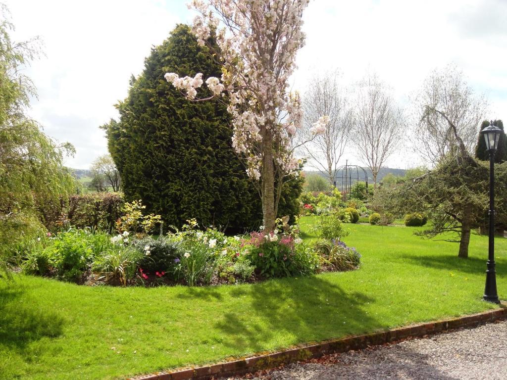 Westwood Country House Blarney Luaran gambar